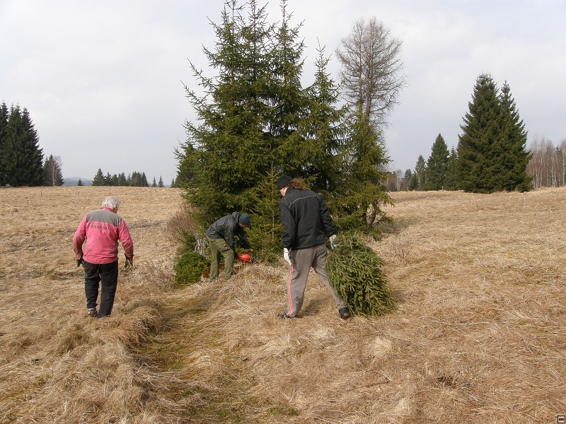 Stožec, 3/2011, f: Heřman