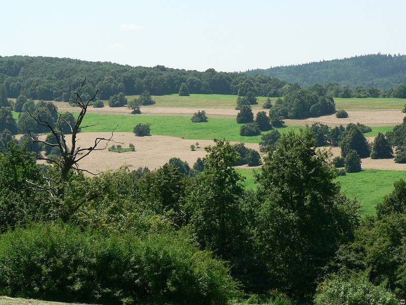 NPR Čertoryje, 7/2011, f: Uřičář