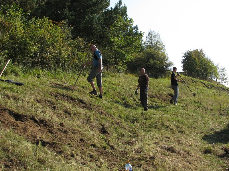 Zámkovská hora, management na lokalitě, 9/2011, f: Bešta