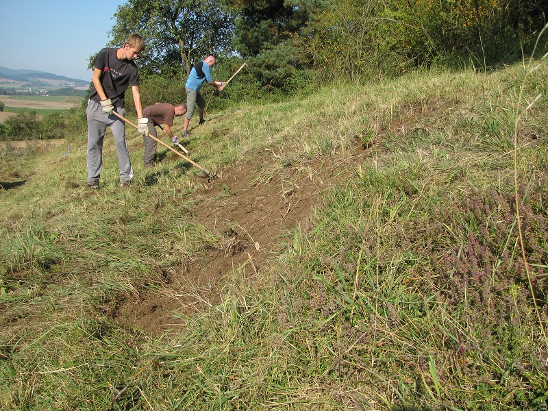Zámkovská hora, management na lokalitě, 9/2011, f: Bešta