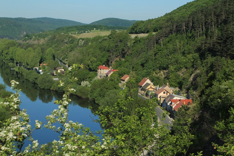 One of selected localities – Karlštejn National Nature Reserve