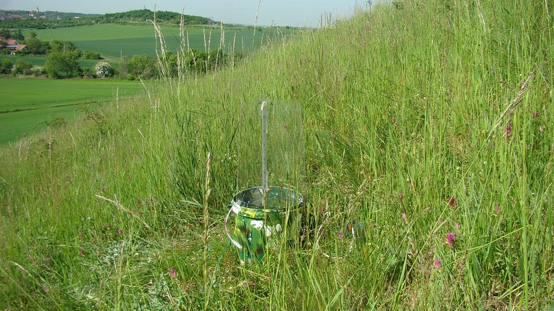 Monitoring - Kopeč, foto A. Pavlíčko