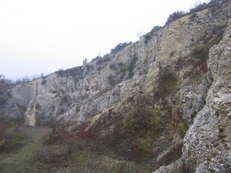 Monitoring - Pálava, foto A. Pavlíčko