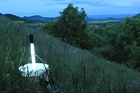 Light trap prepared for night trapping