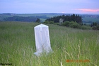 Lokalita Kamenec, odchyt na světelný zdroj, 24.5.2015